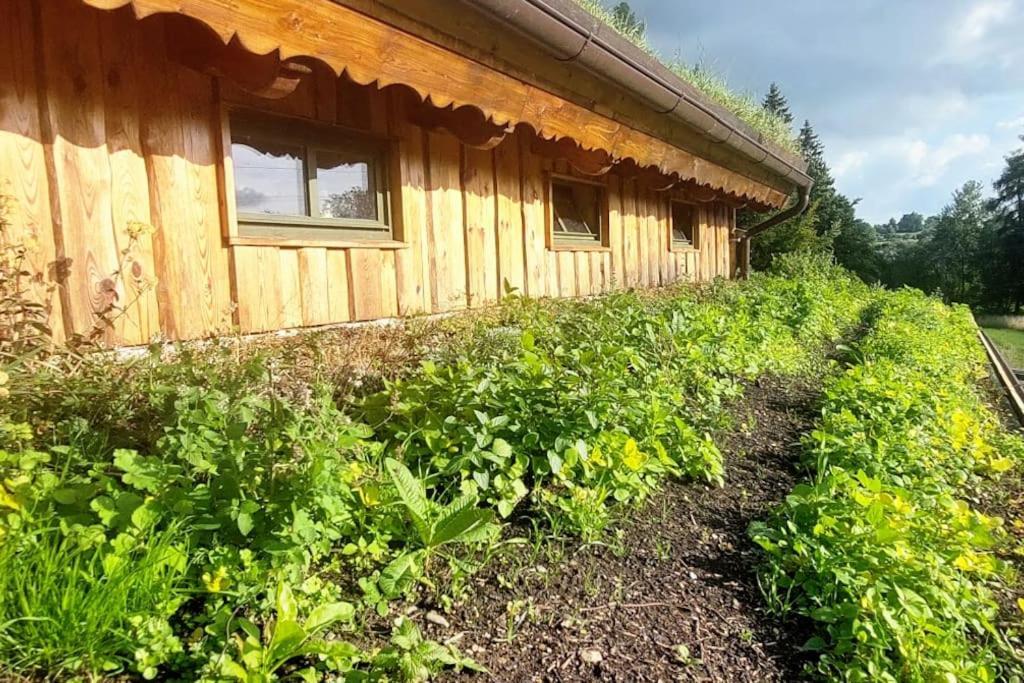 Chalet Boruvka - Biofarma Na Samote V Lesich Benesov  Екстер'єр фото