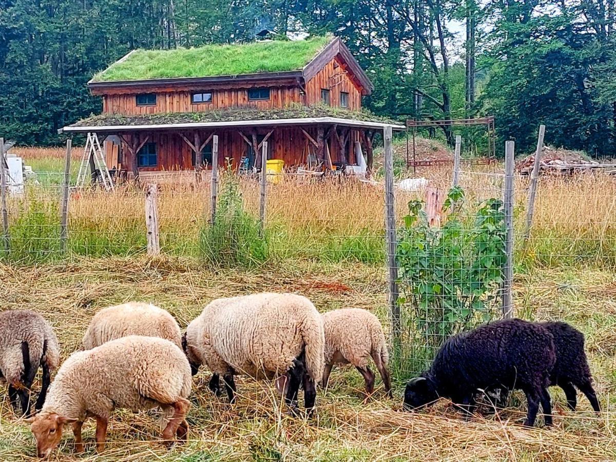 Chalet Boruvka - Biofarma Na Samote V Lesich Benesov  Екстер'єр фото