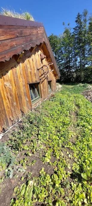 Chalet Boruvka - Biofarma Na Samote V Lesich Benesov  Екстер'єр фото