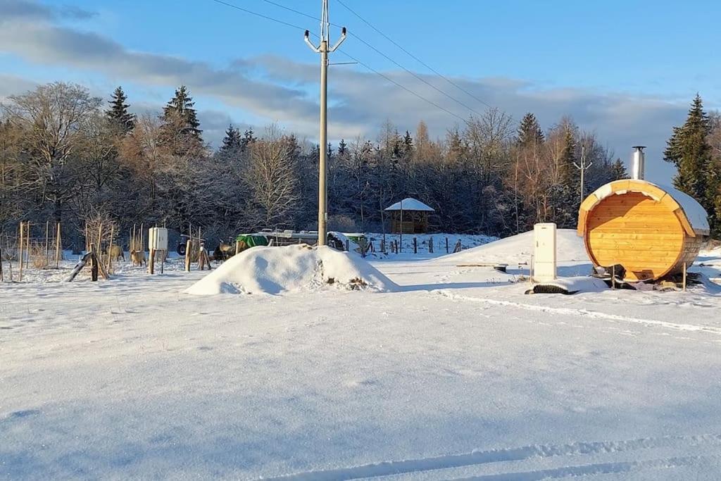 Chalet Boruvka - Biofarma Na Samote V Lesich Benesov  Екстер'єр фото