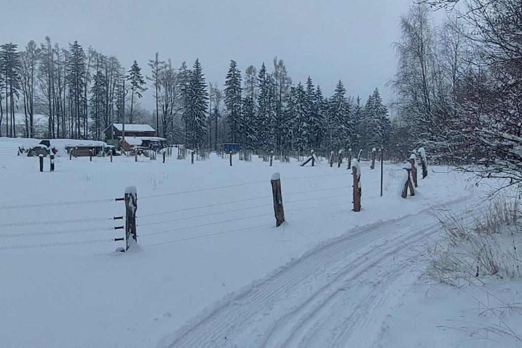 Chalet Boruvka - Biofarma Na Samote V Lesich Benesov  Екстер'єр фото