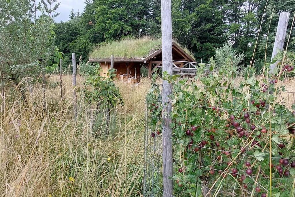 Chalet Boruvka - Biofarma Na Samote V Lesich Benesov  Екстер'єр фото