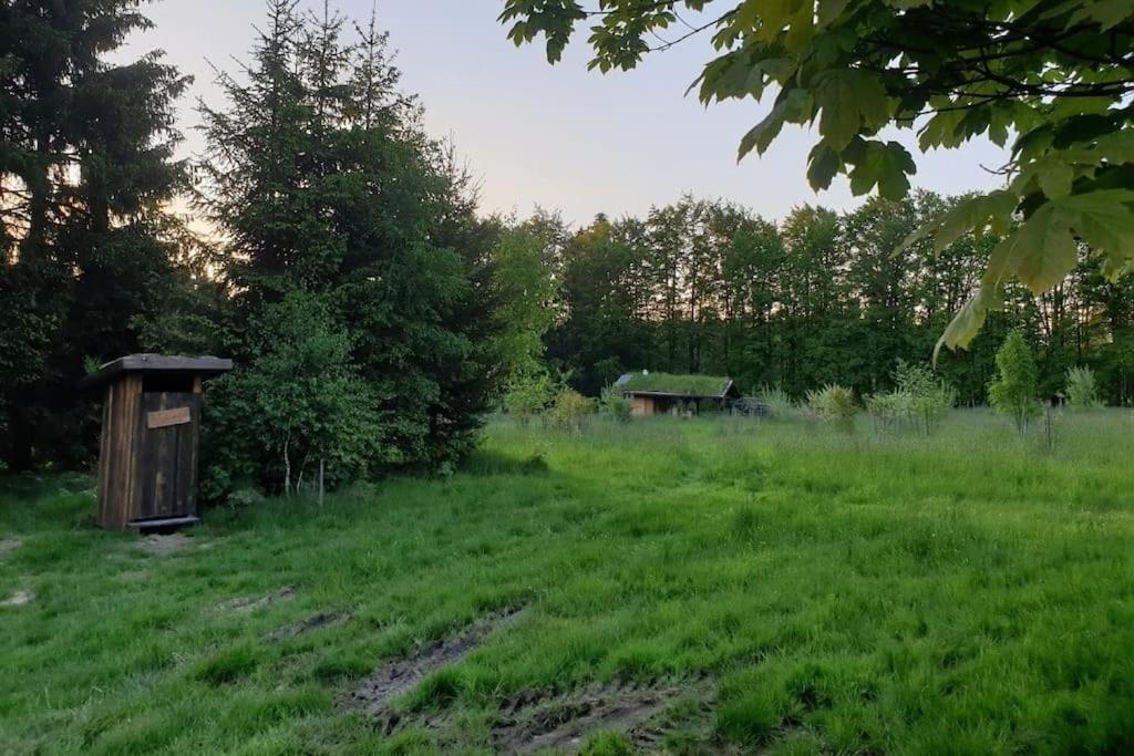 Chalet Boruvka - Biofarma Na Samote V Lesich Benesov  Екстер'єр фото
